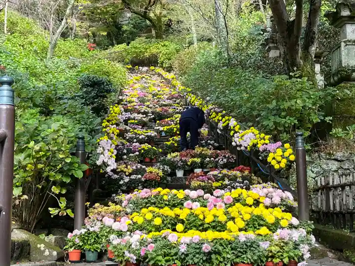 長谷寺(奈良県)