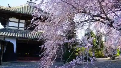 典厩寺のその他建物