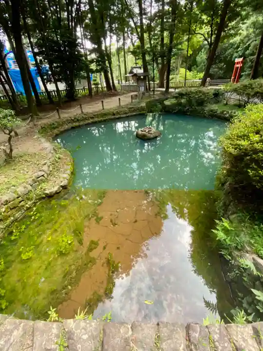 大麻比古神社(徳島県)