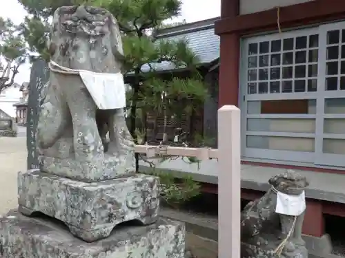 住吉神社の狛犬