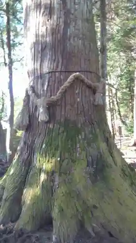 明建神社の自然