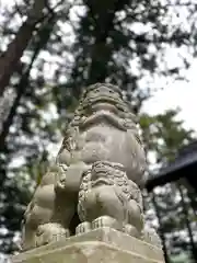 山家神社の狛犬