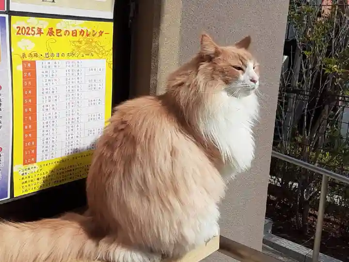 駒込妙義神社(東京都)