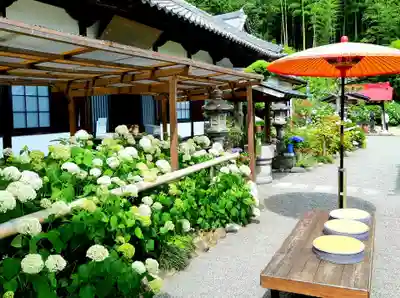 極楽寺(静岡県)