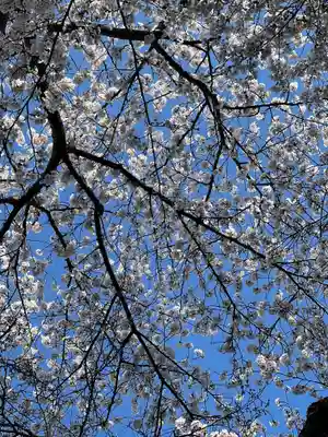 弘前八坂神社(青森県)