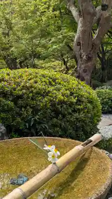 圓光寺(京都府)