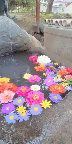 大鏑神社の手水