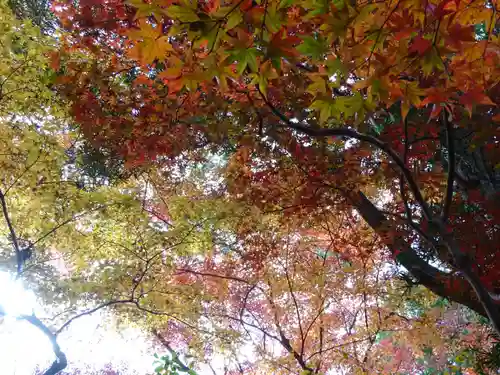 覚園寺(神奈川県)