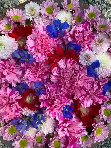 彌都加伎神社の手水舎