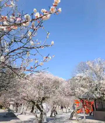 綱敷天満宮の{uncategorized: "未分類", other: "その他", undefined: "問題あり", building: "その他建物", grave: "お墓", sacred_gate: "鳥居", guardian: "狛犬", statue: "像", buddha: "仏像", history: "歴史", nature: "自然", garden: "庭園", animal: "動物", pagoda: "塔", temizu: "手水舎", mountain_gate: "山門・神門", sanctuary: "本殿・本堂", subordinate: "末社・摂社", art: "芸術", scenery: "景色", jizo: "地蔵", ema: "絵馬", goshuin: "御朱印", omikuji: "おみくじ", items: "授与品その他", amulet: "お守り", goshuincho: "御朱印帳", eats: "食事", festival: "お祭り", votive_dance: "神楽", shichigosan: "七五三参", wedding: "結婚式", experience: "体験その他", initially: "初詣", around: "周辺", anti_infection: "感染症対策"}
