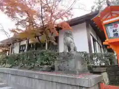 八坂神社(祇園さん)の狛犬