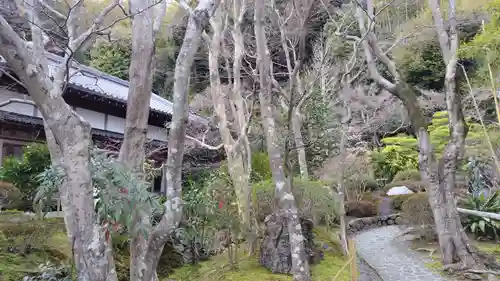 華厳寺（鈴虫寺）(京都府)