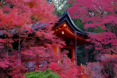 毘沙門堂門跡のその他建物