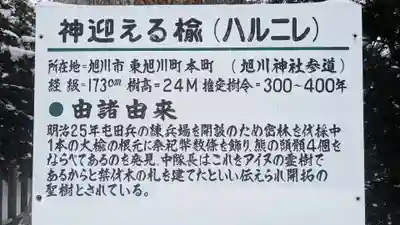 旭川神社の歴史