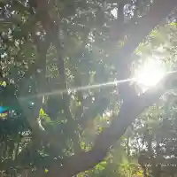 鹿島神社(和歌山県)