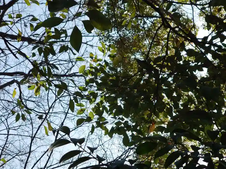 綱敷天満神社(兵庫県)