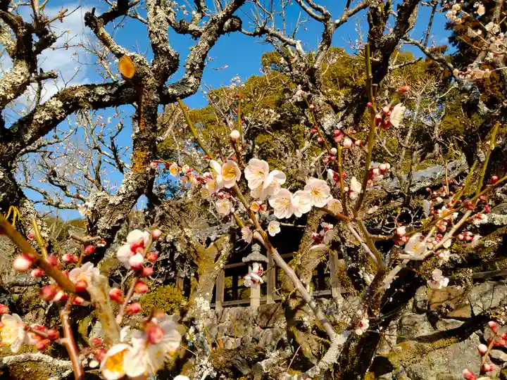 吉備津神社(岡山県)
