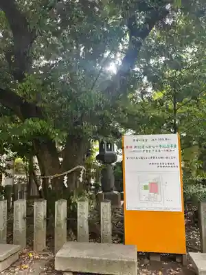 伊勢神社(栃木県)