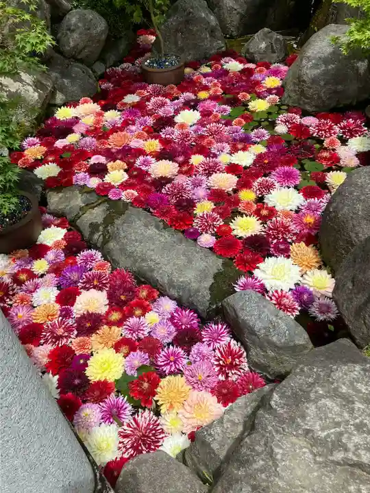 岡寺(龍蓋寺)(奈良県)