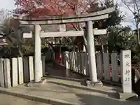 地主神社(京都府)