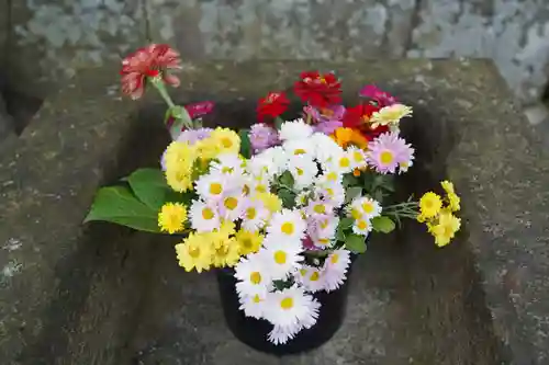 熊野福藏神社の手水