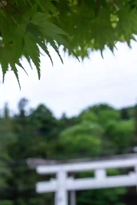 諏訪大社(長野県)