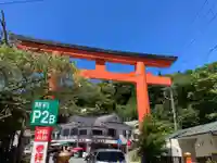 箱根神社の鳥居