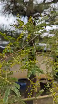 勝林寺(京都府)