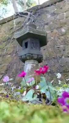 長谷寺の{uncategorized: "未分類", other: "その他", undefined: "問題あり", building: "その他建物", grave: "お墓", sacred_gate: "鳥居", guardian: "狛犬", statue: "像", buddha: "仏像", history: "歴史", nature: "自然", garden: "庭園", animal: "動物", pagoda: "塔", temizu: "手水舎", mountain_gate: "山門・神門", sanctuary: "本殿・本堂", subordinate: "末社・摂社", art: "芸術", scenery: "景色", jizo: "地蔵", ema: "絵馬", goshuin: "御朱印", omikuji: "おみくじ", items: "授与品その他", amulet: "お守り", goshuincho: "御朱印帳", eats: "食事", festival: "お祭り", votive_dance: "神楽", shichigosan: "七五三参", wedding: "結婚式", experience: "体験その他", initially: "初詣", around: "周辺", anti_infection: "感染症対策"}