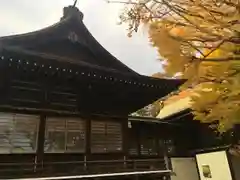 葛飾八幡宮の本殿