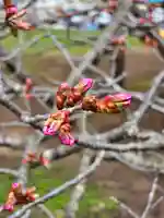 美幌神社(北海道)