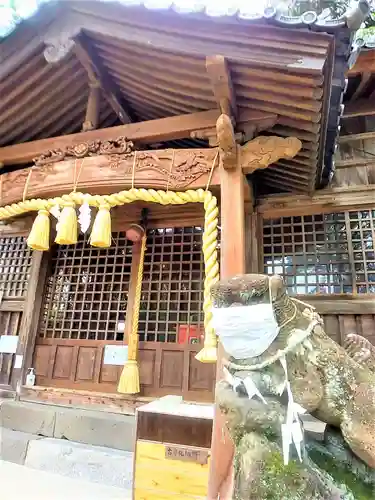 白鬚神社の狛犬