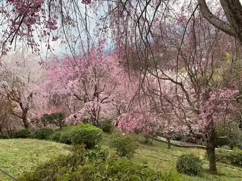 大神神社の自然