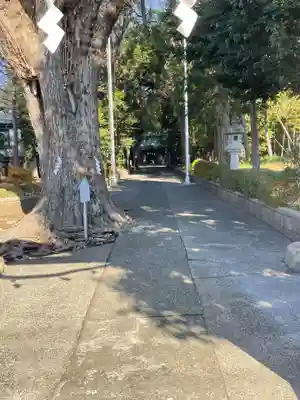 五社神社(神奈川県)