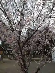 賀羅加波神社の庭園