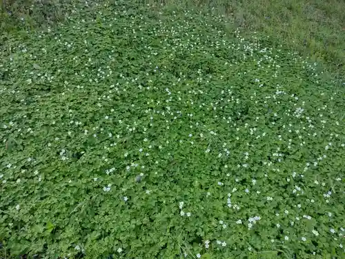 松井孫右衛門社(三重県)