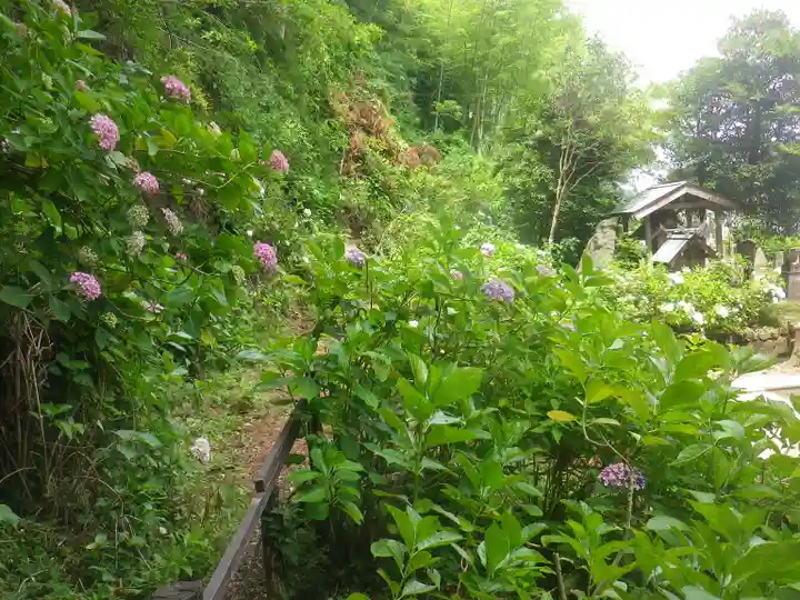 御霊神社の自然