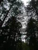 大正天皇多摩陵(東京都)