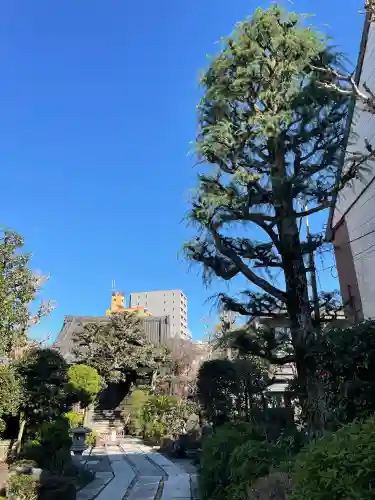 浄正寺の{uncategorized: "未分類", other: "その他", undefined: "問題あり", building: "その他建物", grave: "お墓", sacred_gate: "鳥居", guardian: "狛犬", statue: "像", buddha: "仏像", history: "歴史", nature: "自然", garden: "庭園", animal: "動物", pagoda: "塔", temizu: "手水舎", mountain_gate: "山門・神門", sanctuary: "本殿・本堂", subordinate: "末社・摂社", art: "芸術", scenery: "景色", jizo: "地蔵", ema: "絵馬", goshuin: "御朱印", omikuji: "おみくじ", items: "授与品その他", amulet: "お守り", goshuincho: "御朱印帳", eats: "食事", festival: "お祭り", votive_dance: "神楽", shichigosan: "七五三参", wedding: "結婚式", experience: "体験その他", initially: "初詣", around: "周辺", anti_infection: "感染症対策"}