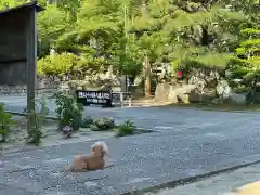 伊勢の国 四天王寺の動物