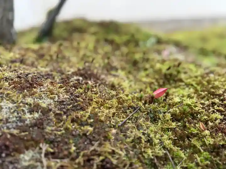 西方山極楽寺(岐阜県)