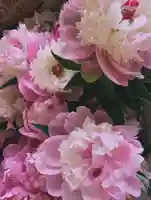 滑川神社 - 仕事と子どもの守り神(福島県)