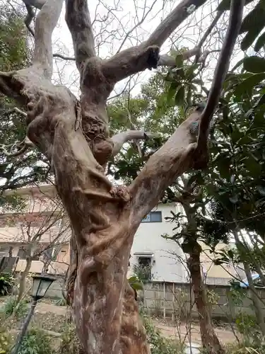 教善寺(神奈川県)