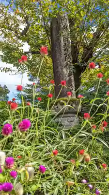 證安院(京都府)