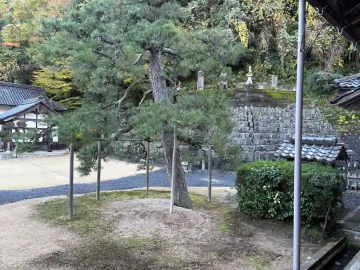 国清寺(京都府)