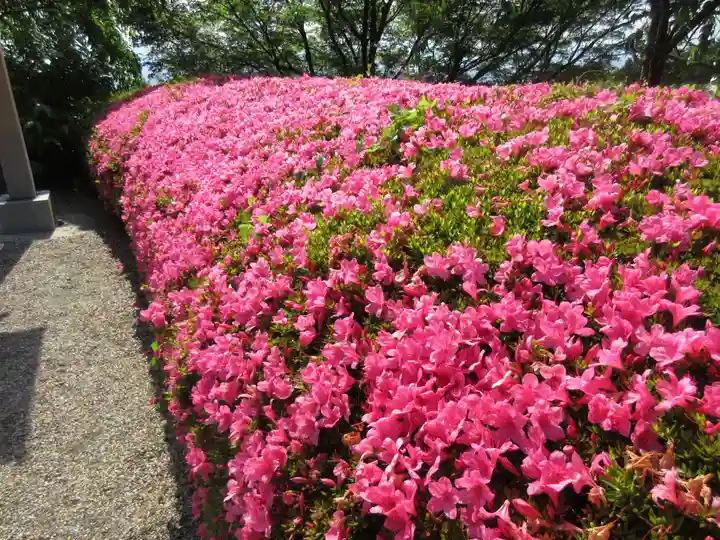 善峯寺(京都府)