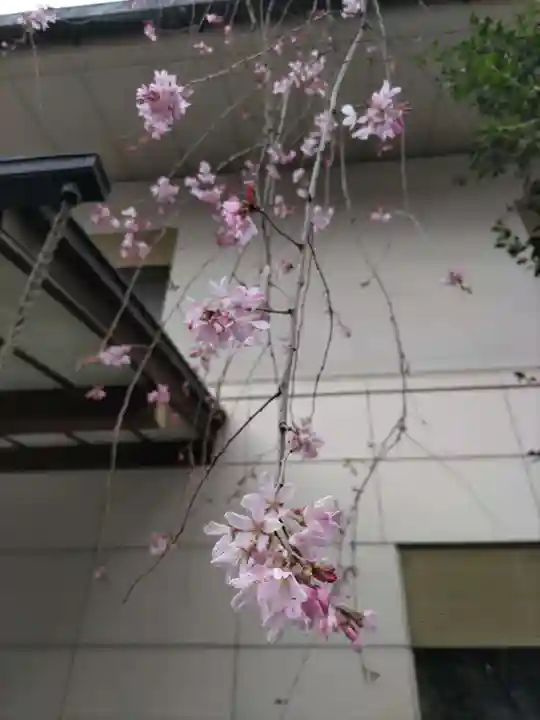 宝勝山 南藏院 蓮光寺の庭園
