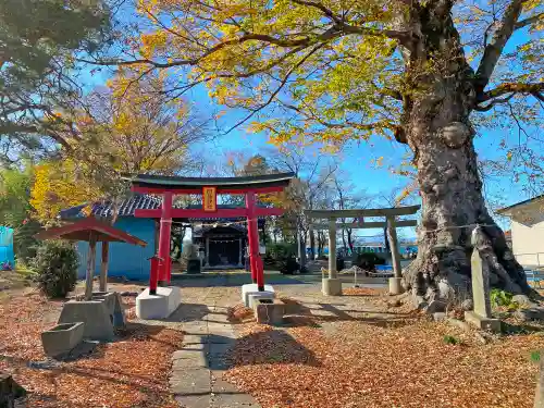 阿保神社の鳥居