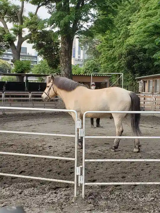 明治神宮(東京都)
