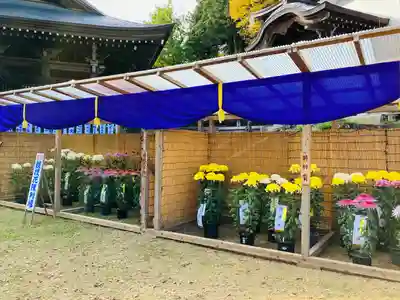 普光寺(新潟県)